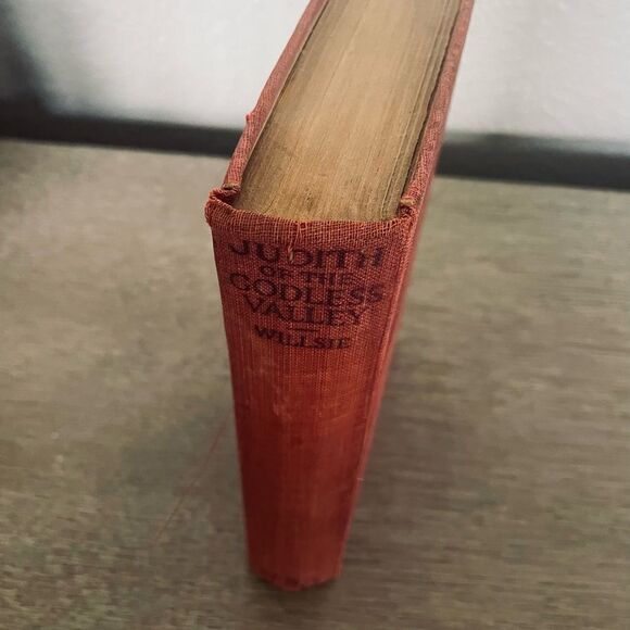 Judith of the Godless Valley by Honore Willsie Vintage Antique Book - Picture 3 of 7